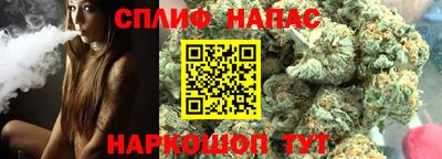 ешки Можга